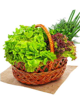 PackedGreens